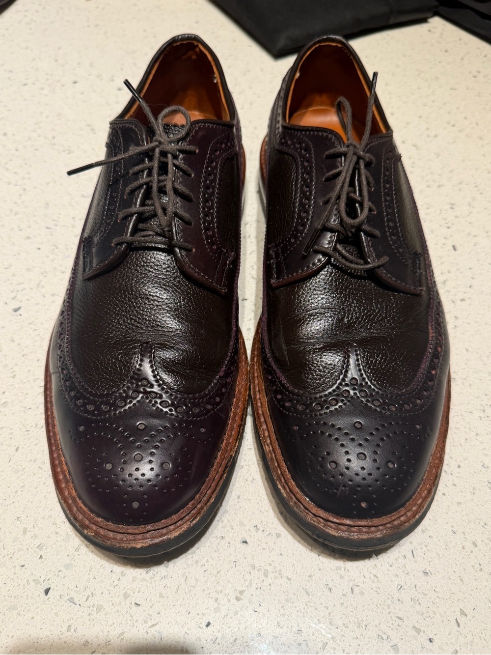 Alden Wingtip Brogue Leather shell cardovan - Dark Brown D1504C shoes
